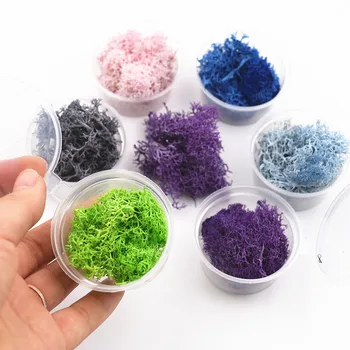1 dėžutė 2-2.5 gramų Natūralaus moss microlandschaft užpildu stiklo pasaulyje silikono formos 