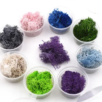 1 dėžutė 2-2.5 gramų Natūralaus moss microlandschaft užpildu stiklo pasaulyje silikono formos 