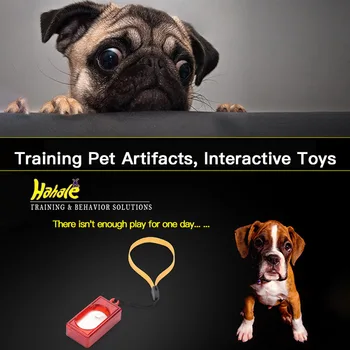 1pc Naujas Šuo Pet Švilpukas Clicker šunelis Treneris Clickers Pagalbos Vadovas Su Virve Šunų Mokymo Švilpukas Šuo Produktai, naminių Gyvūnėlių Produktai