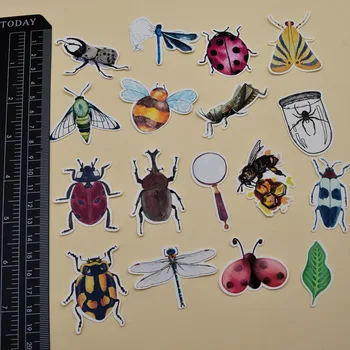 36pcs Akvarelė Natūralių Vabzdžių Kolekcija lipdukai Dienoraščio Sąsiuvinis Planuotojas/ Handbook 