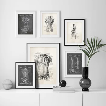 Anatomija skeletas Patentų Derliaus Plakatas Sienos Menas Spausdinti Paveikslai Tapyba Šiaurės Plakatai Ir Spausdina Sienos Nuotraukas, Už Kambarį