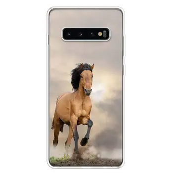 Arklių Gyvūnų Telefonas Case Cover For Samsung Galaxy A51 A71 A50 A70 A10 A20E A30 A40 A90 M30S A01 A6 A7 A8 A9 Plius Coque