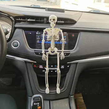 Automobilių apdailos klaidingą Aktyvaus Žmogaus skeleto Modelis Anatomija Skeletas Skeleto Medicinos Mokymosi Helovinas Šalis Dekoro Skeletas