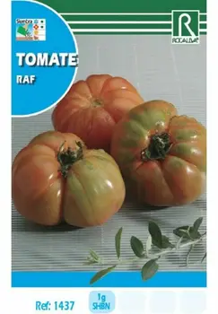 Daržovių sodinimo sėklos pomidorų RAF