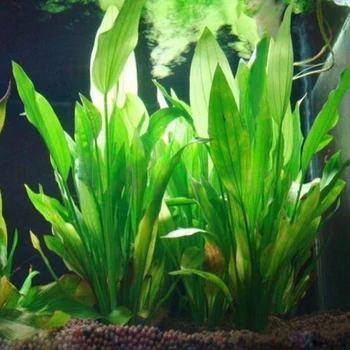 Dirbtinės Plastikinės Karšto Vandens Augalų Žolės Akvariumo Dekoracijos, Augalai, Žuvys Bakas Žolės Gėlių Ornamentu Dekoro Vandens Priedai