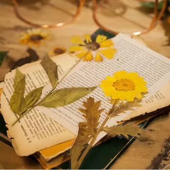 Do-Re-Mi 6pcs Gėlės Savaitgalį Deco Gėlių Lipdukai PET Lipdukai Scrapbooking Leidinys Deco Albumą Deco 