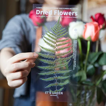 Do-Re-Mi 6pcs Gėlės Savaitgalį Deco Gėlių Lipdukai PET Lipdukai Scrapbooking Leidinys Deco Albumą Deco 