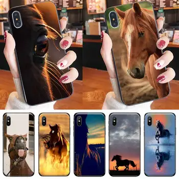 Frederikas Didysis grožis arklių Telefono dėklas skirtas iPhone 11 12 pro XS MAX 8 7 6 6S Plus X 5S SE 2020 XR