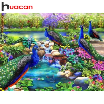 Huacan 
