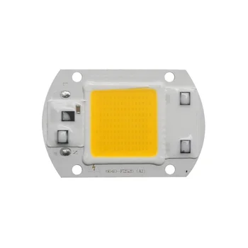Integruotos Pažangios IC Vairuotojo COB LED Lustai Didelis šviesos srautas IP65 20W 30W 50W AC110V 220-240V, 