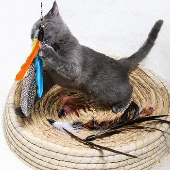 Interaktyvi Katė Kibinimas Nustatyti Ištraukiamas Žvejybos Polių Lazdelė Žaislų Ir 5 Pakeitimo Plunksnų Žuvų Žaislas Žuvų žaislas kačiukas