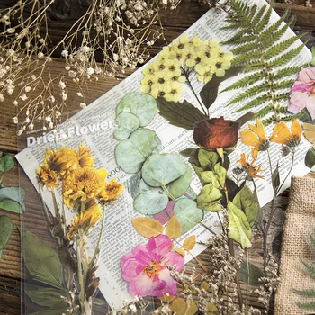 Journamm 6pcs Gėlės Savaitgalį Paparčio Eukalipto lapai PET Lipdukai Scrapbooking Leidinys Deco Albumą Deco 