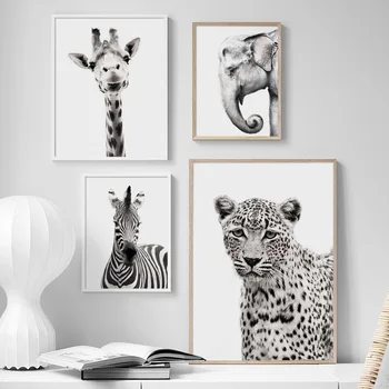Juoda Balta Gyvūnų žirafa, zebras Dramblys Sienos Meno Tapybos Drobės Šiaurės Plakatai Ir Spausdina Sienos Nuotraukas Gyvenimo Kambario Dekoro