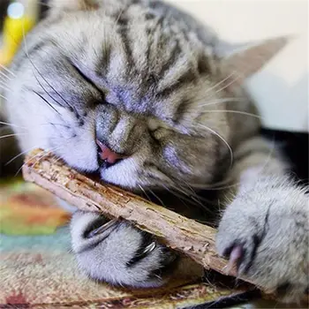 Kačių dantų valymo Grynas natūralus katžolių naminių kačių krūminių dantų Pasta Prilimpa Vaisių Matatabi Kačių Užkandžių Lazdos Naminių Kačių Reikmenys