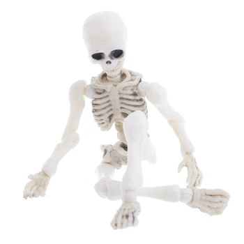 Kilnojamasis Ponas Kaulai, Skeletas Žmogaus Kaukolės Modelis, Viso Kūno, Mini Pav Žaislas Helovinas