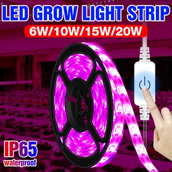 LED Augimo Šviesos Ruože 0,5 M 1M 2M 3M atsparus Vandeniui Fito Lempa LED Full spectrum Daigų Fito Lempa Gėlių Sėklų Auginimo Žiburiai