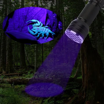 LED UV Žibintuvėlis 395NM 21LEDs Ultra Violet Mini Žibintuvėlis Skorpionas Augintinio Šlapimo Dėmes Detektorių Naudoti 3*AAA Baterijos Aptikimas Žibintuvėlis