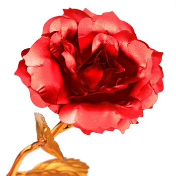 Mados vientisos Spalvos 24k Auksu Golden Rose Romantiška Valentino Dienos Dovana Meilužio Mergina