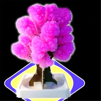 Magija Japonijos Sakura Medis-Prekės Rožinė Stebuklingai Dekoratyvinis Augančių Medžių Popieriaus Naujas Made in Japan