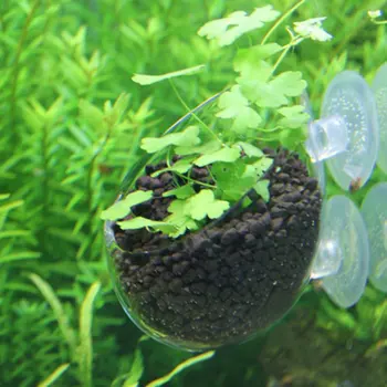 Mini Krištolo Puodą Polka Vandens vazoninių vandens sodinimo cilindrų taurės akvariumo reikmenys, Akvariumo apdaila žuvų bakas