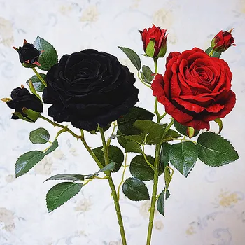 Prabanga black rose filialas Aksomo Modeliavimas Dirbtinės gėlės Valentino dovana vestuvių gėlės Namų puošybai rožės flores