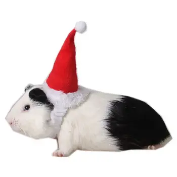 Smulkių Gyvūnų Augintinių Kalėdų Senelio Skrybėlė Triušis Žiurkėno Kiaulyčių Žiurkių Kalėdų Bžūp