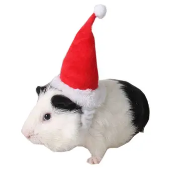Smulkių Gyvūnų Augintinių Kalėdų Senelio Skrybėlė Triušis Žiurkėno Kiaulyčių Žiurkių Kalėdų Bžūp