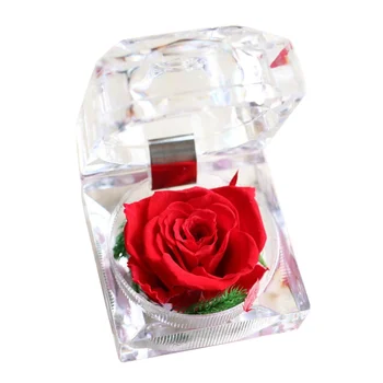 Subtilus Everlasting Flower Red Rose Pasiūlyti Žiedas Langelį, Kalėdų, Valentino Dienos Dovana Gimtadienio Dovana Mergaitėms