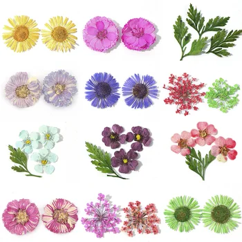 Sumaišykite Džiovintų Gėlių Nagų Papuošimai Papuošalai Natūralių Gėlių Lapų Lipdukai 3D Nagų Dailė Dizainas Amžinas gėlių, Džiovintų gėlių gręžimo