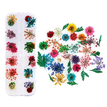 Sumaišykite Džiovintų Gėlių Nagų Papuošimai 3D Nagų Dailė Natūralių Gėlių Lapų, Lipdukų Dizaino UV Gel Polish Manikiūro Įrankiai