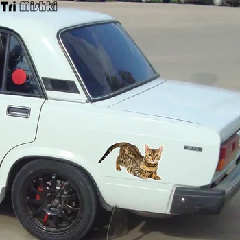 Tri Mishki WCS629 11x21cm Bengalijos katė Sibiro katė juokinga, automobilių lipdukai, auto, automobilių lipdukai