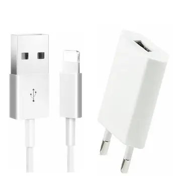 USB Sienos Kroviklis + Duomenų Sinchronizavimo Įkrovimo Kabelis Skirtas Apple iPhone 11 PRO MAX 12 mini 6 6S 7 8 Plius XR XS SE 5 5C 5S Greitai Maitinimo Adapteris