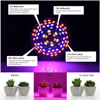 Viso Spektro LED Lemputė Augalų Augimo 6W 10W 30W 50W 80W Phytolamp E27 UV Lemputes Augalai, Gėlės, Sodinukai Auga Palapinė