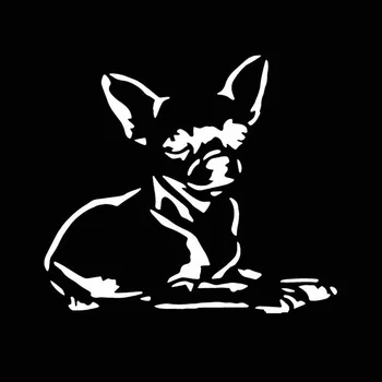YJZT 14.1X12.4CM Čihuahua Šunų Puppy, Pet Automobilių Lipdukas Vinilo Decal Perdavimo jam prilygintą išsilavinimą Meno Juoda/Sidabrinė C24-1189