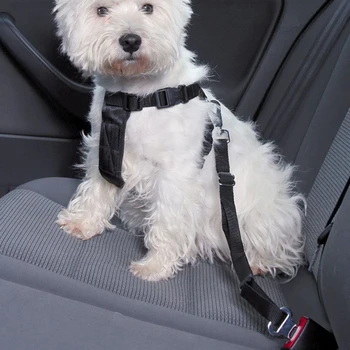 Šuns Diržas Automobilių kištuko adapterį su ispudi al sėdynė dirželio nailono Reguliuojamas apsauga nuo naminių šunų ar kačių