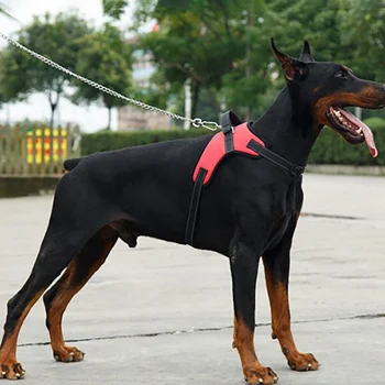Šuo Minkšti, Reguliuojami Diržai Pet Didelis Šuo Vaikščioti Iš Pakinktų Vest Antkaklio Dirželis už Mažas Vidutinis Didelis Šunys